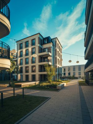 pexels-volkerthimm-27307399